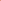 Short Corocito Pink Tigre